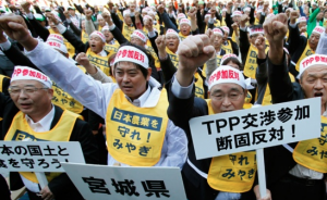 Mass protests in Japan, the second largest economy in the TPP bloc are under pressure by the US to open up its agricultural and automotive sectors.