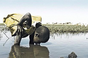 UN: 85% of the world population lives in the driest half of the planet. 783 million people do not have access to clean water and almost 2.5 billion do not have access to adequate sanitation. 6 to 8 million people die annually from the consequences of disasters and water-related diseases.