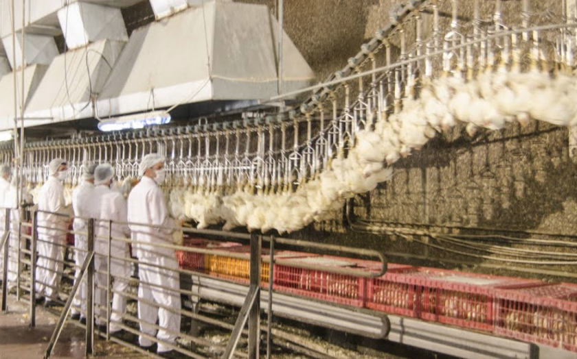 Exposed: The Tory-Trump plan to kill food safety with Brexit