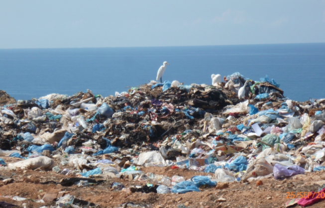 Junk Planet: 19 Million Premature Deaths Estimated To Occur Annually