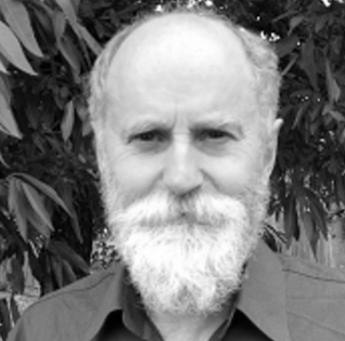 Robert J Burrowes