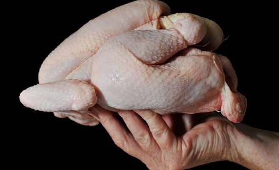 Why Chickens Matter