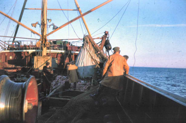 How Michael Gove's Proposal Could Give Us Less Control Over Fisheries