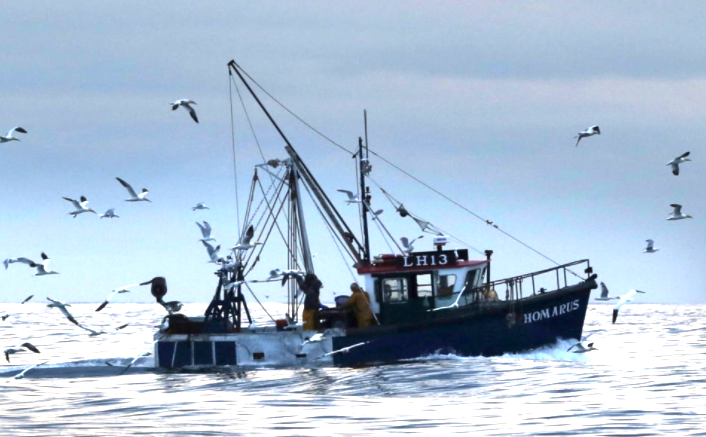 The Grim Prognosis For British Fishing Post-Brexit