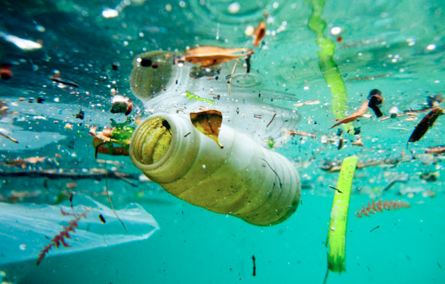 George Monbiot: Urge, Splurge, Purge