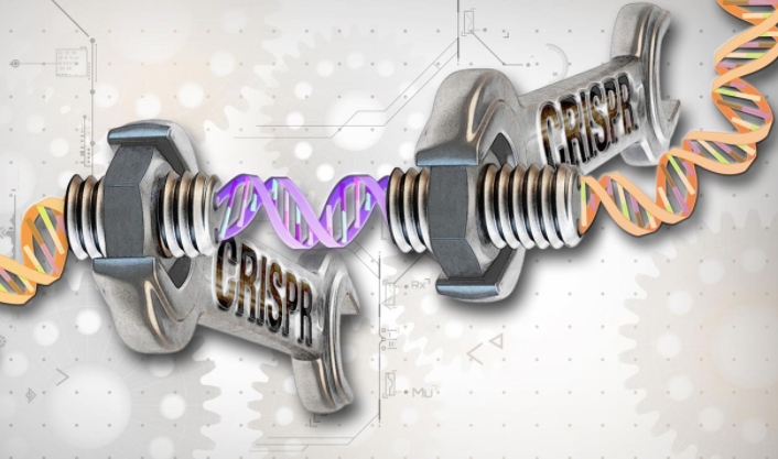 US Government Backs Dangerous New Genetic Manipulation of Plants and Animals