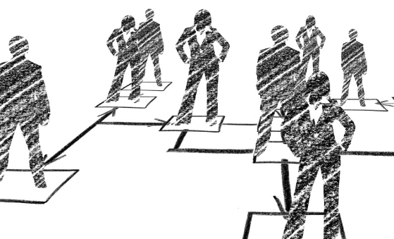Reproducing the political class