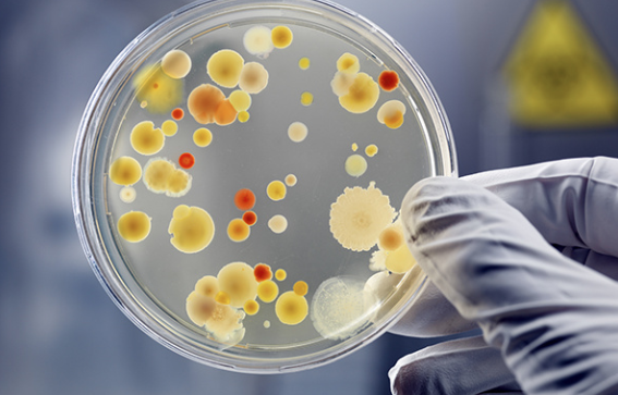 Lobbyists Unite At UN To Put World Biosafety in Danger