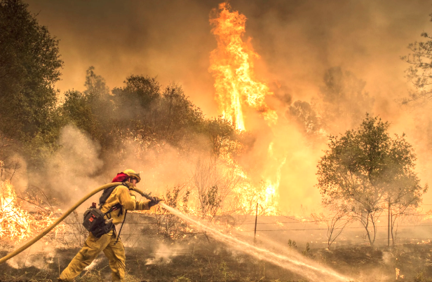 2018 will show record carbon emissions