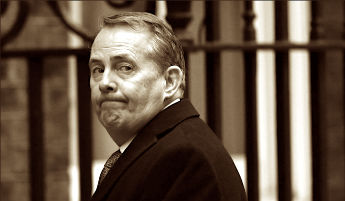 Latest defeat is 'a very heavy blow for Liam Fox'