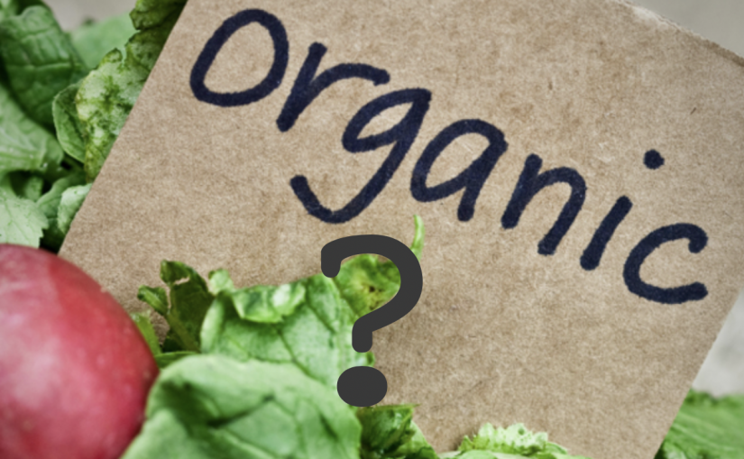 Only in America: Should GMOs be allowed in organic food?