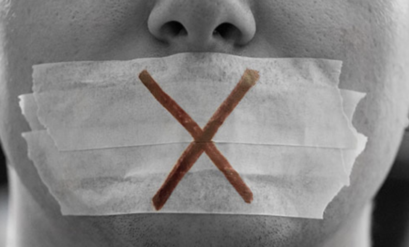 New laws to criminalise public interest information