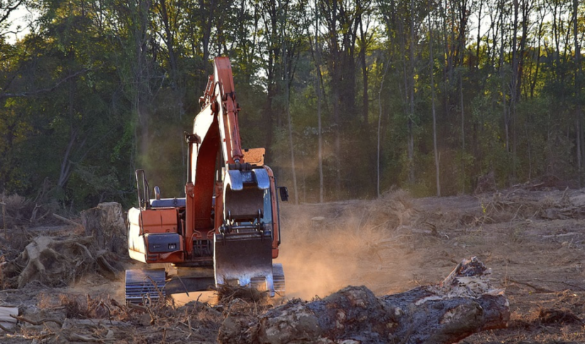 HS2 - Europe's biggest deforestation project hides behind pandemic