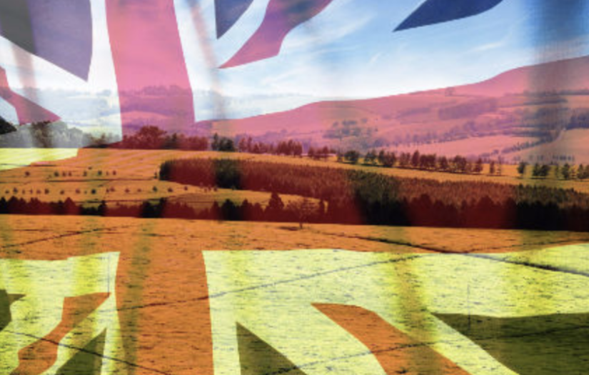 Brexit trade agenda threatens disastrous deregulation